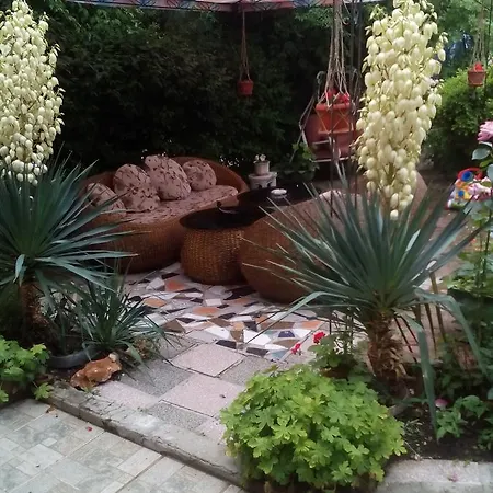 Trakia Guest house